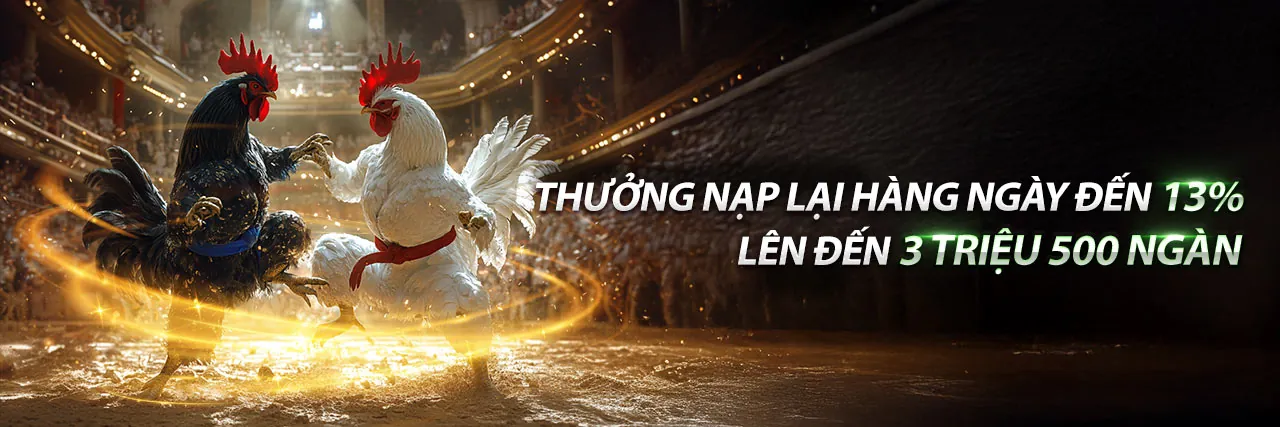Đá gà Thomo thứ Sáu